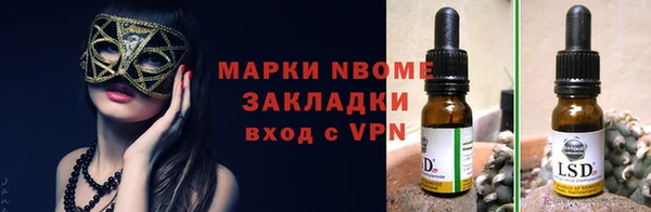 шишки Алзамай