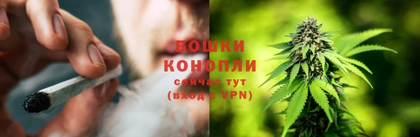 шишки Алзамай