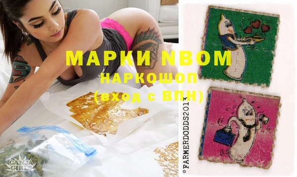шишки Алзамай