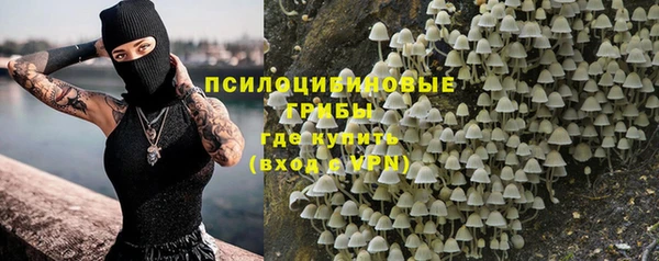 гашик Алексеевка