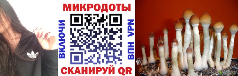 закладки  Тогучин  Псилоцибиновые грибы GOLDEN TEACHER 